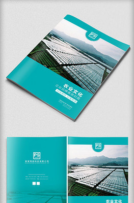 塑造卓越品牌形象 專(zhuān)業(yè)企業(yè)形象策劃服務(wù)與高效PPT模板